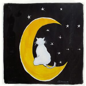 ÍMÃ - GATO NA LUA ENCANTADO COM AS ESTRELAS
